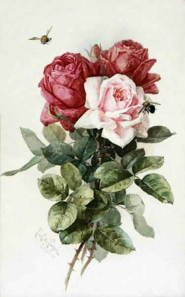 108 волшебно красивых картин с красными, белыми, желтыми розами