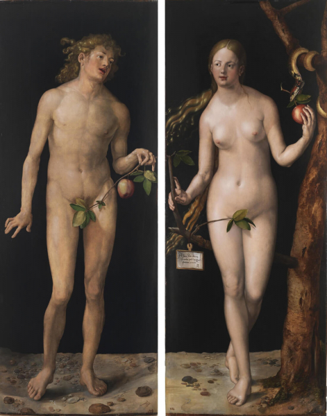 «Адам и Ева», Альбрехт Дюрер — описание картины