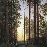 Лес зимой, Шишкин, 1884 г