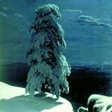 Лес зимой, Шишкин, 1884 г