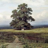 «Лесная поляна», Иван Иванович Шишкин — описание картины