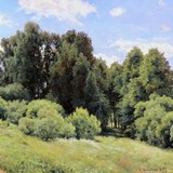 «Лесные дали», Иван Иванович Шишкин — описание картины