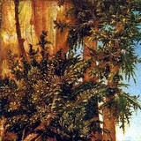 «Мартириум святого Флориана», Альбрехт Альтдорфер — описание картины