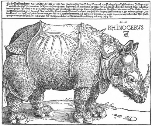 Носорог, Альбрехт Дюрер, 1515 г. (гравюра)