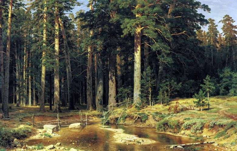 Описание картины Ивана Шишкина «Корабельный лес»