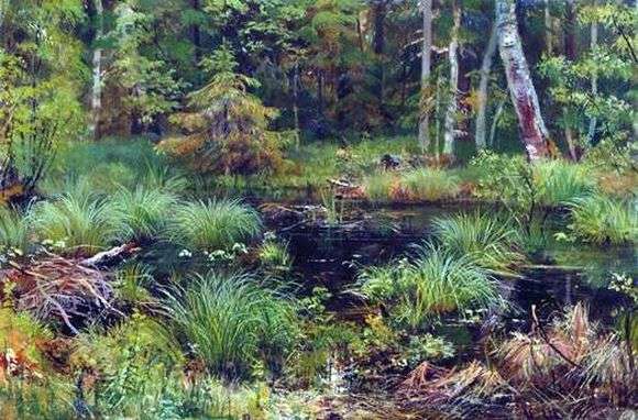 Описание картины Ивана Шишкина «Весна в лесу»