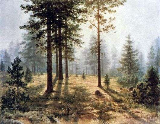 Описание картины Ивана Шишкина «Туман в лесу»