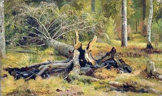 Описание картины Ивана Шишкина «Упавшее дерево»
