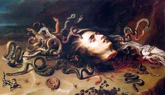 Описание картины Питера Рубенса «Голова Медузы»