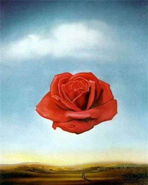 Описание картины Сальвадора Дали «Цветок» («Задумчивая роза»)