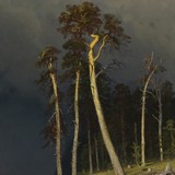 Описание картины Шишкина «Дубовая роща», 1887 г