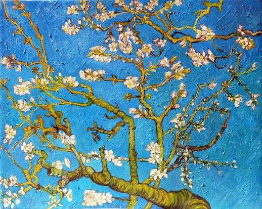 Описание картины Винсента Ван Гога «Ветви цветущего миндаля»
