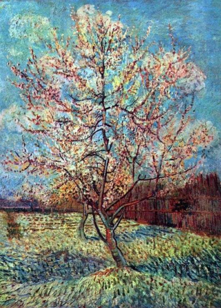 Описание картины Винсента Ван Гога «Грушевое дерево в цвету»