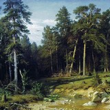 «Вырубка леса», 1867, Иван Иванович Шишкин — описание картины