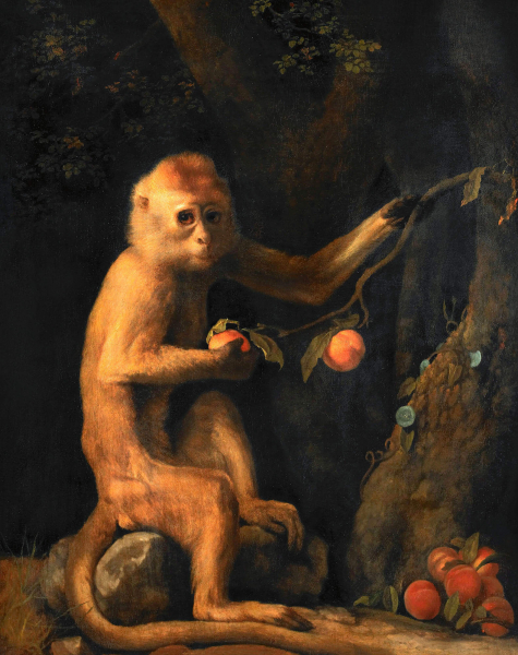 «Зеленая обезьяна», Джордж Стаббс — описание картины